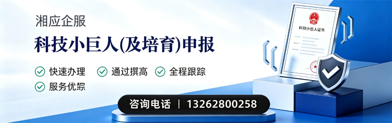 肇庆科技小巨人及培育企业申报服务