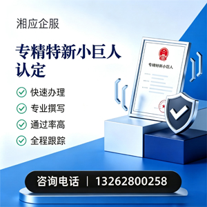 肇庆专精特新小巨人申报服务
