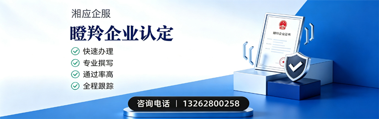 肇庆瞪羚企业认定申报服务