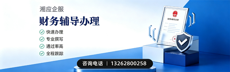 肇庆财务辅导申请服务
