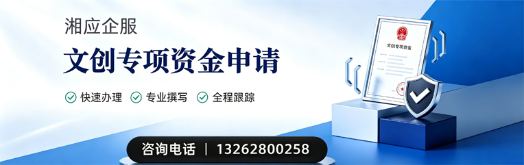 肇庆文创专项资金申报服务