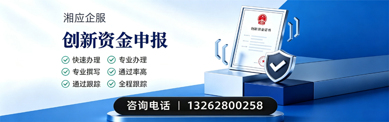 肇庆创新资金申报服务