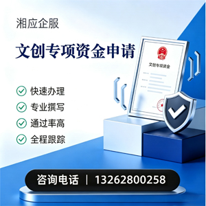肇庆文创专项资金申报服务