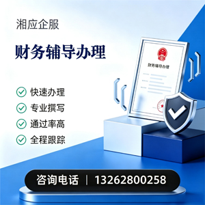 肇庆财务辅导申请服务
