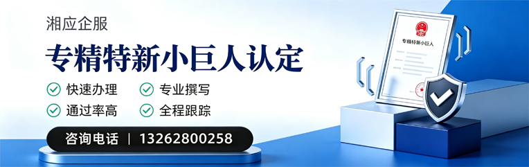 肇庆专精特新小巨人申报服务